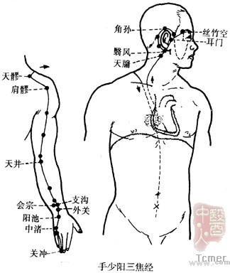 手少阳三焦经